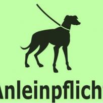 Aufruf an Hundebesitzer
